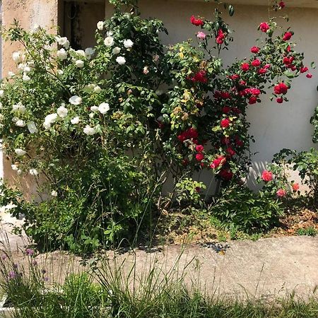 Apartamento Le Jardin Suspendu Rillieux-la-Pape Exterior foto
