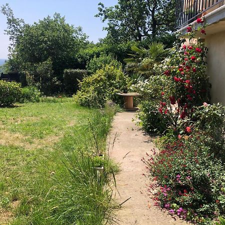 Apartamento Le Jardin Suspendu Rillieux-la-Pape Exterior foto
