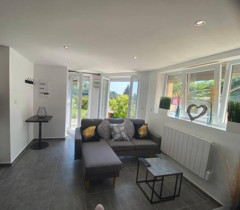 Apartamento Le Jardin Suspendu Rillieux-la-Pape Exterior foto