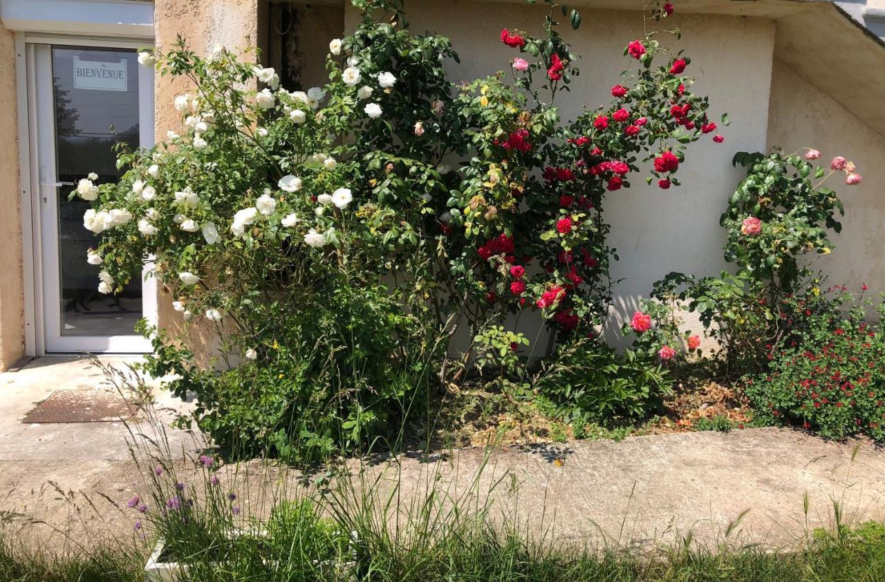 Apartamento Le Jardin Suspendu Rillieux-la-Pape Exterior foto